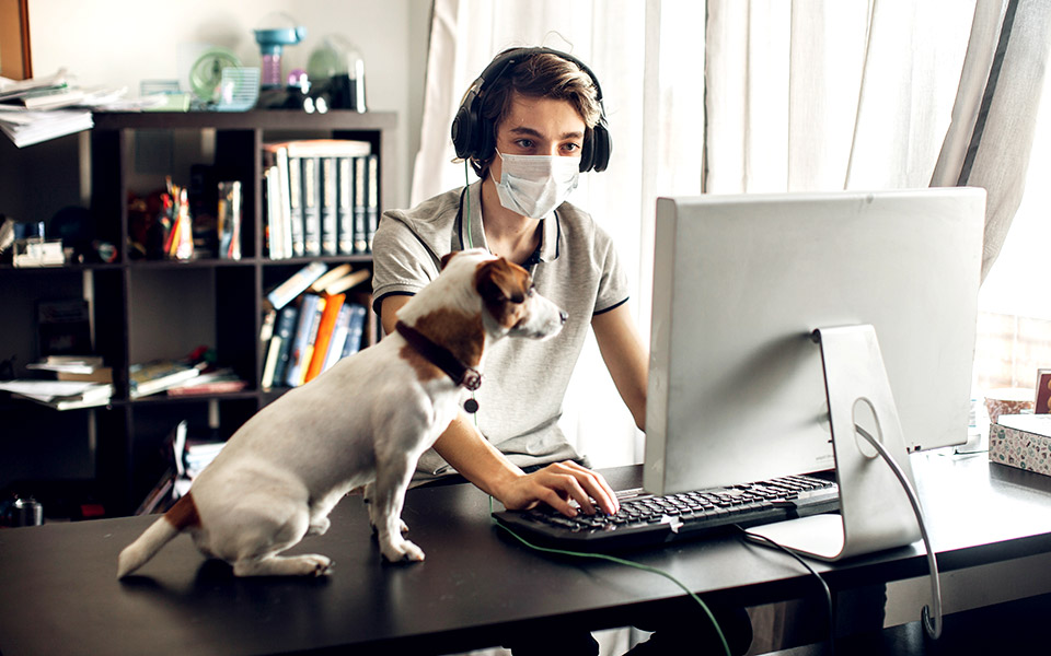 κινδυνεύουν-τα-ζώα-από-τον-κορονοϊό-2375667