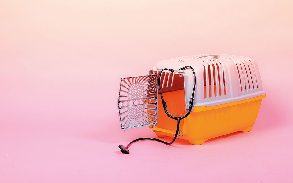 παθητικοί-ξενιστές-και-ενεργητικοί-α-2372433