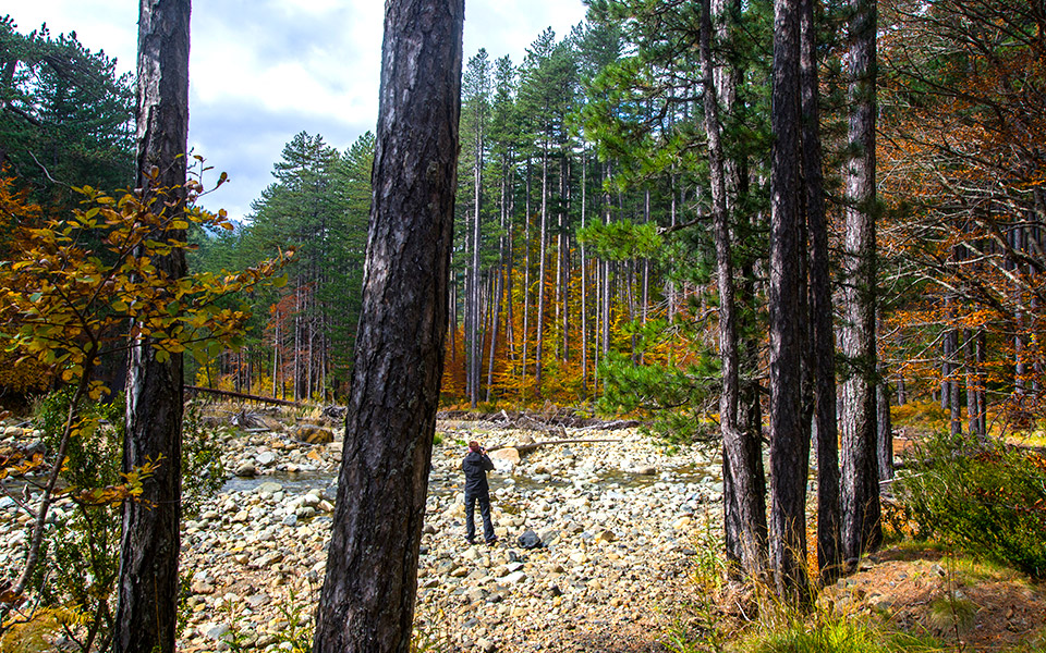 οι-αναγνώστες-ταξιδεύουν-βάλια-κάλντ-2375066