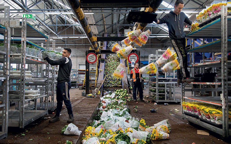 ω-γλυκύ-μου-έαρ-2374458