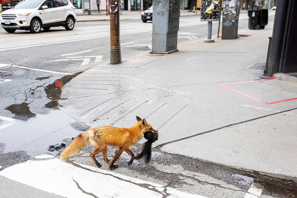 φωτογραφήματα-2379175