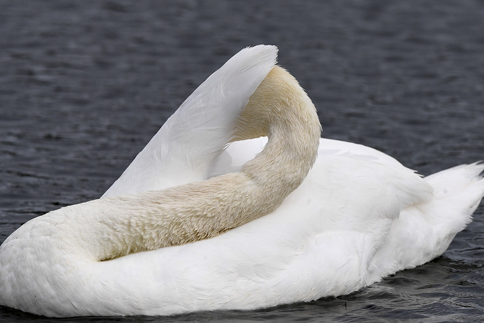 φωτογραφήματα-2379552