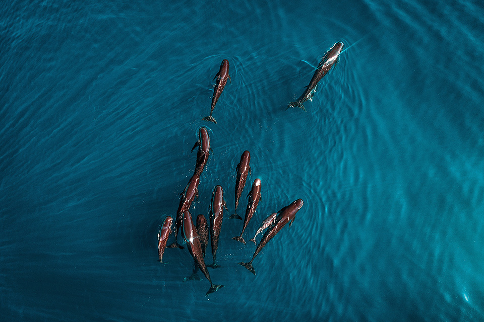 φωτογραφήματα-2380143