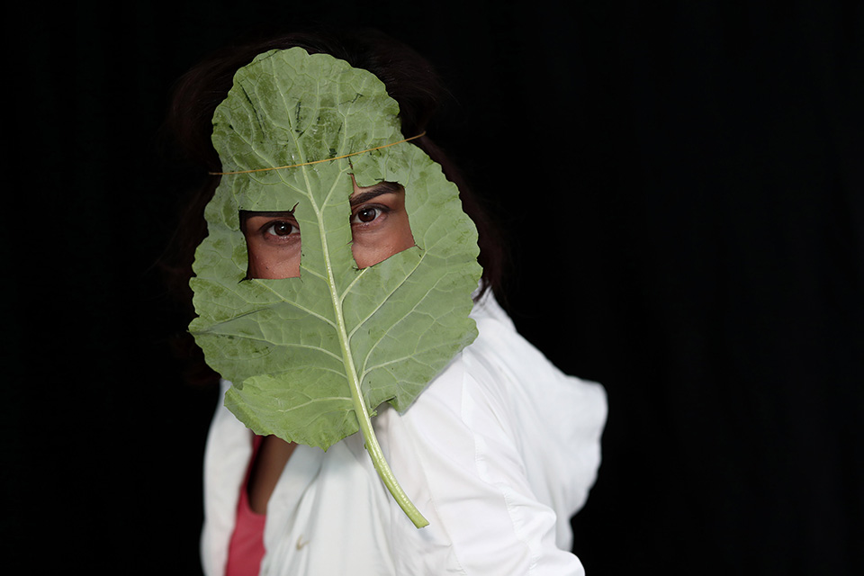 φωτογραφήματα-2377744