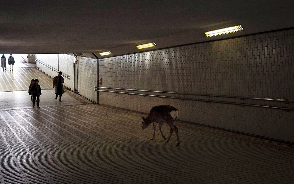 ο-πλανήτης-τρελάθηκε-με-την-καλή-έννοι-2378885