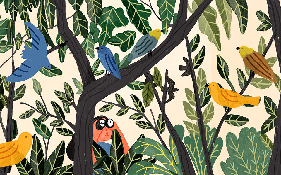 παρατήρηση-πτηνών-για-αρχάριους-2379896