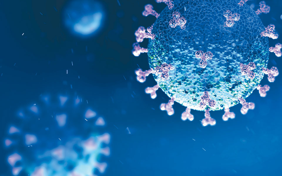 οι-γνωστοί-και-άγνωστοι-πρόγονοι-του-κ-2377018