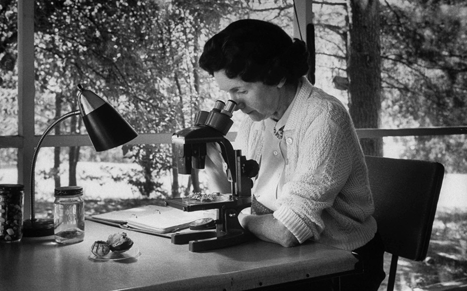 άνοιξη-και-τα-λοιπά-2376643