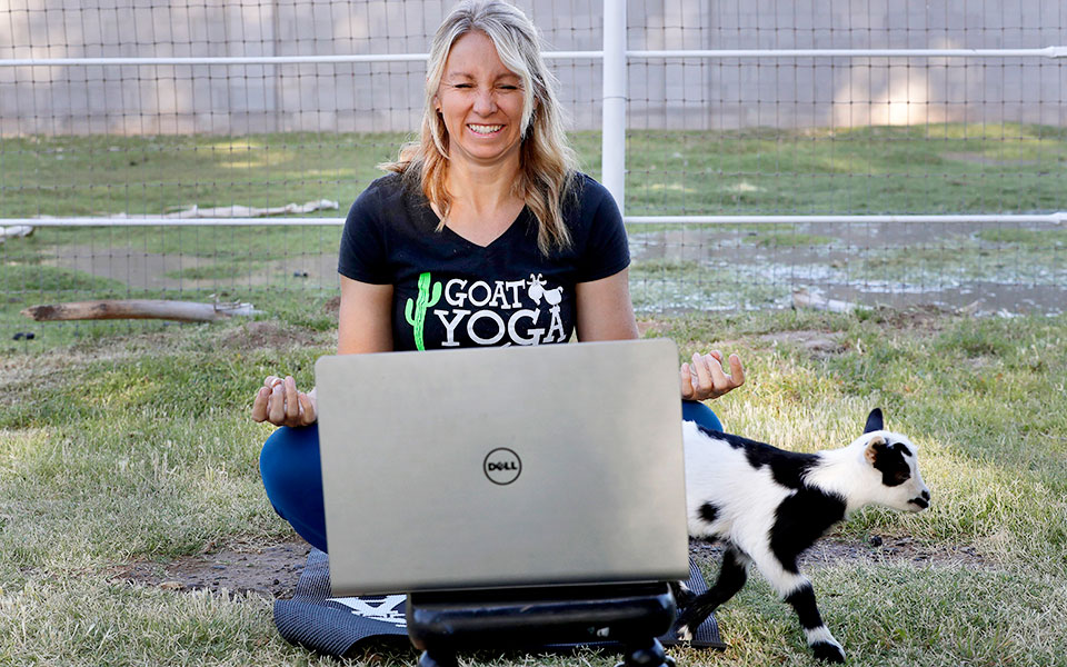 h-ολοκληρωτική-καταστροφή-των-γυμναστ-2377230