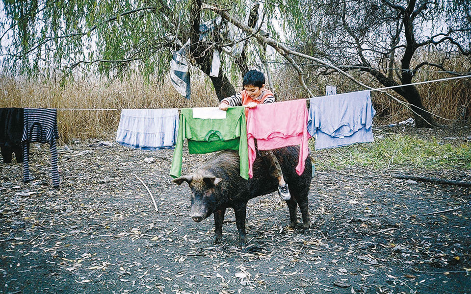 διαδικτυακά-φεστιβάλ-back-to-back-2380442