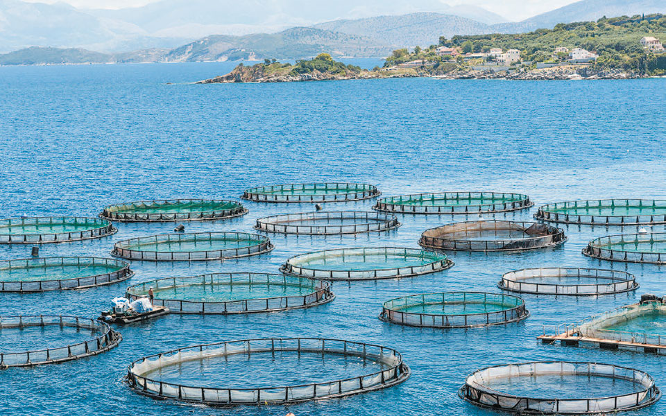 χωροθετούνται-τρεις-περιοχές-για-ανά-2377985