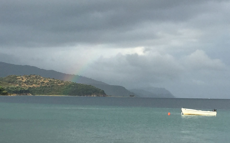 ποντικοφάρμακο-2377323