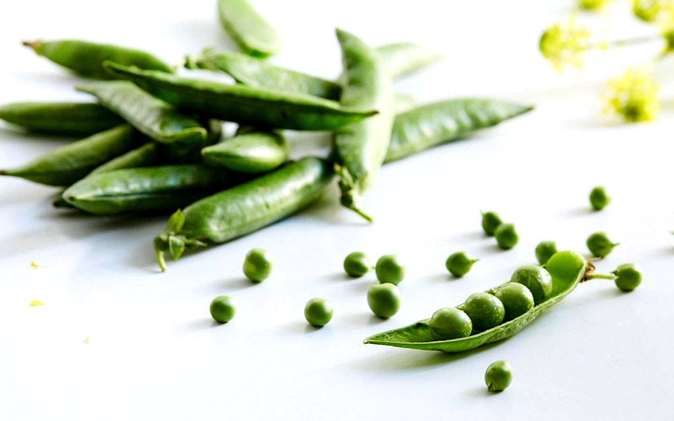 ανατέλλει-η-σεζόν-του-αρακά-2378207