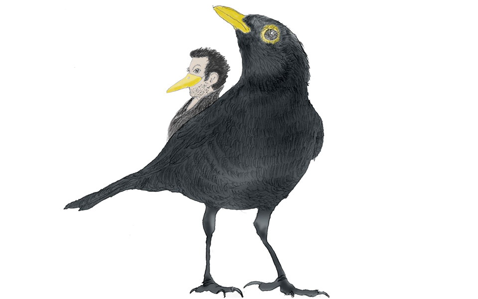 το-τραγούδι-του-κιτρινομύτη-2378417