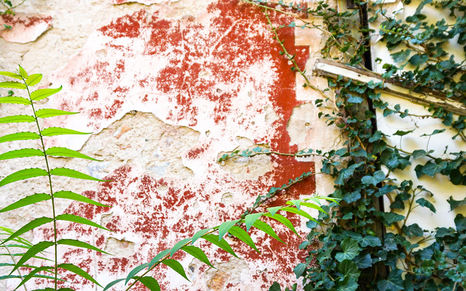 eνα-θραύσμα-τοσκάνης-στις-φυλλωσιές-τω-2377342