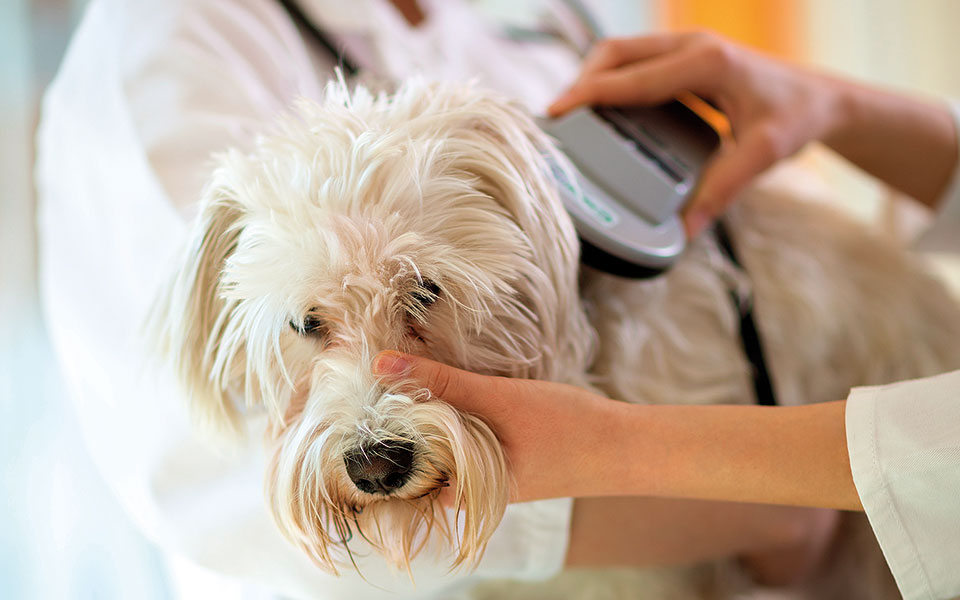 όποιος-δεν-θέλει-να-ζυμώσει-2380075