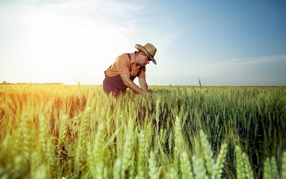 μια-μεγάλη-ευκαιρία-2379541
