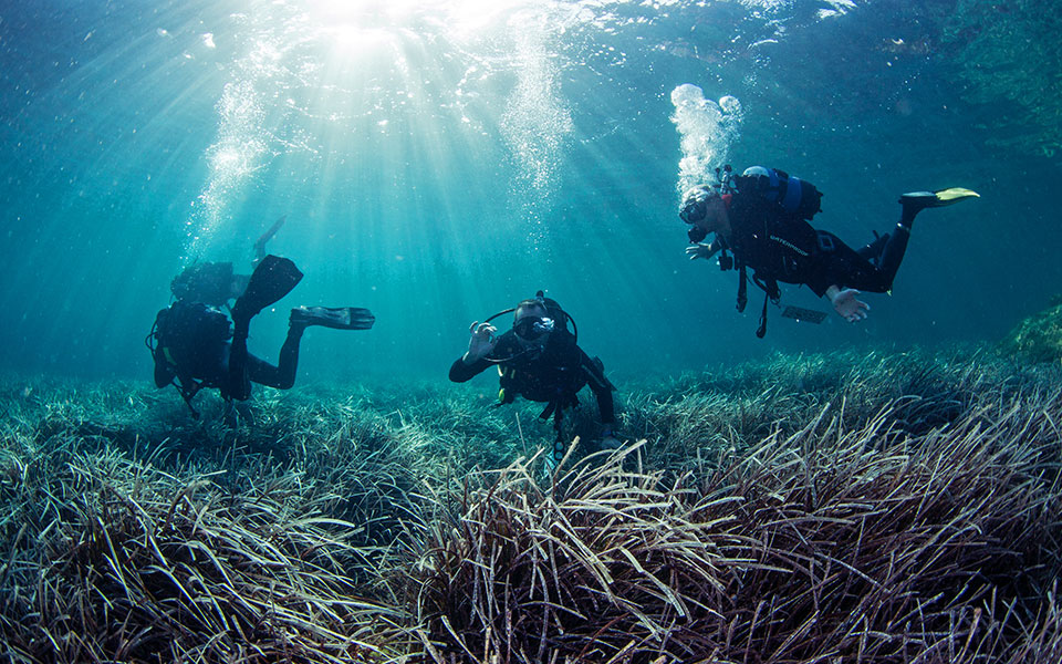 είμαστε-όλοι-ιδιοκτήτες-των-θαλάσσ-2382968