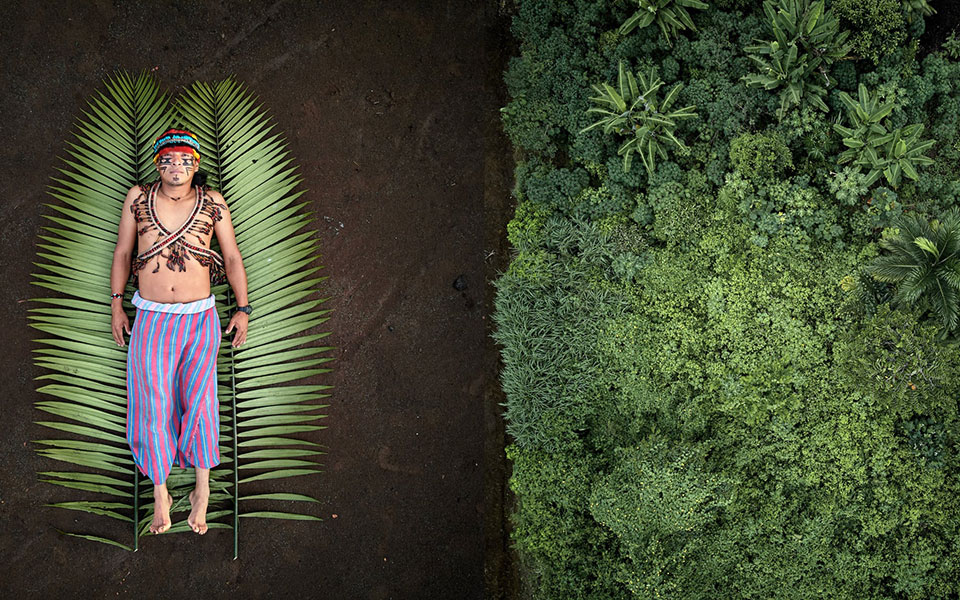 παγκολίνοι-σε-κρίση-ανεμογεννήτριες-2382360