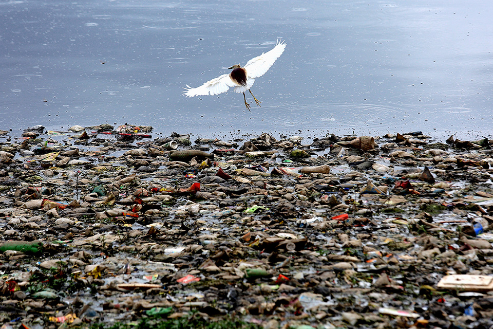 φωτογραφήματα-2381696