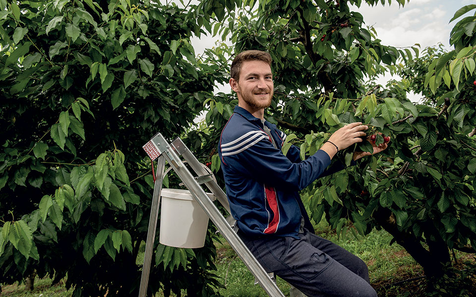 πρώτη-φορά-αγρότης-2382156