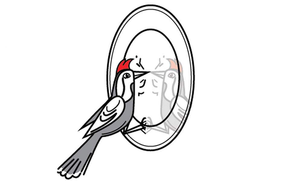 έχει-σύνορα-διακριτά-η-γαστρονομία-2384838