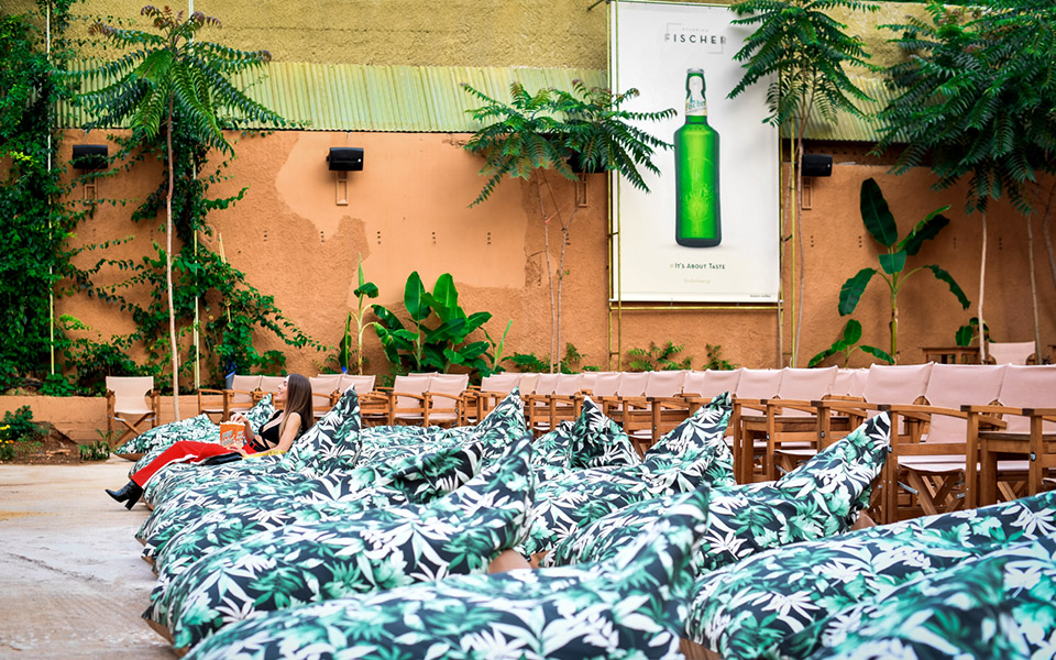 aστέρια-κάτω-από-τα-αστέρια-2385088