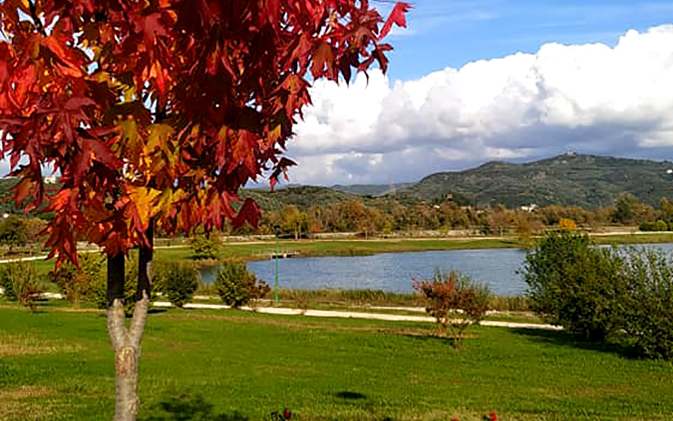 οι-αναγνώστες-ταξιδεύουν-άρτα-2381228