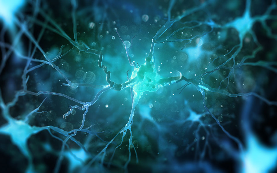 δημιουργήθηκε-η-πρώτη-τεχνητή-σύναψη-2383666