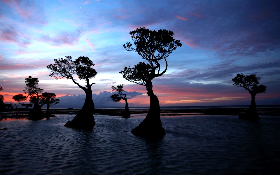 παγκόσμια-ημέρα-περιβάλλοντος-για-ν-2381714