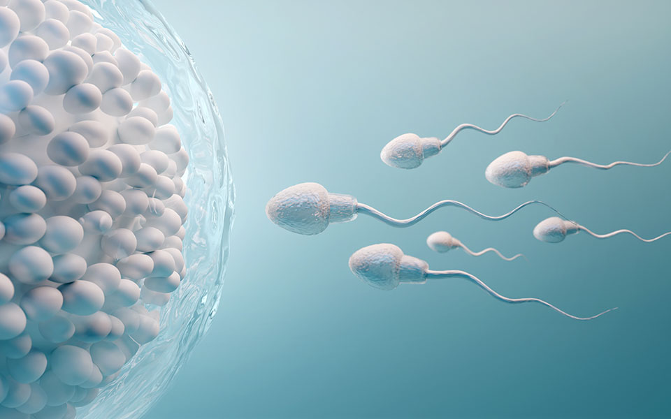 τη-δική-τους-άποψη-για-τον-κατάλληλο-2382304