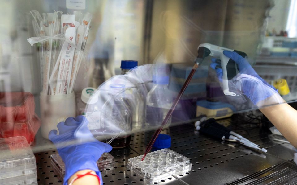 βρετανία-αντιφλεγμονώδες-και-αντικα-2382399