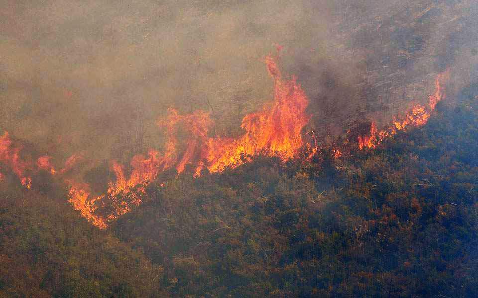 σε-εξέλιξη-πυρκαγιά-σε-δασική-έκταση-σ-2382793