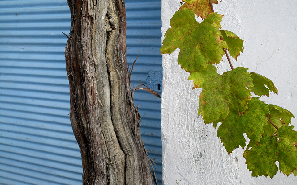 οι-αναγνώστες-ταξιδεύουν-στα-χωριά-2384285
