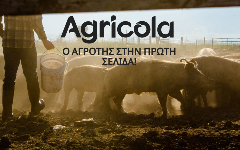 agricola-οι-καλλιέργειες-που-έφεραν-κέρδη-2380998
