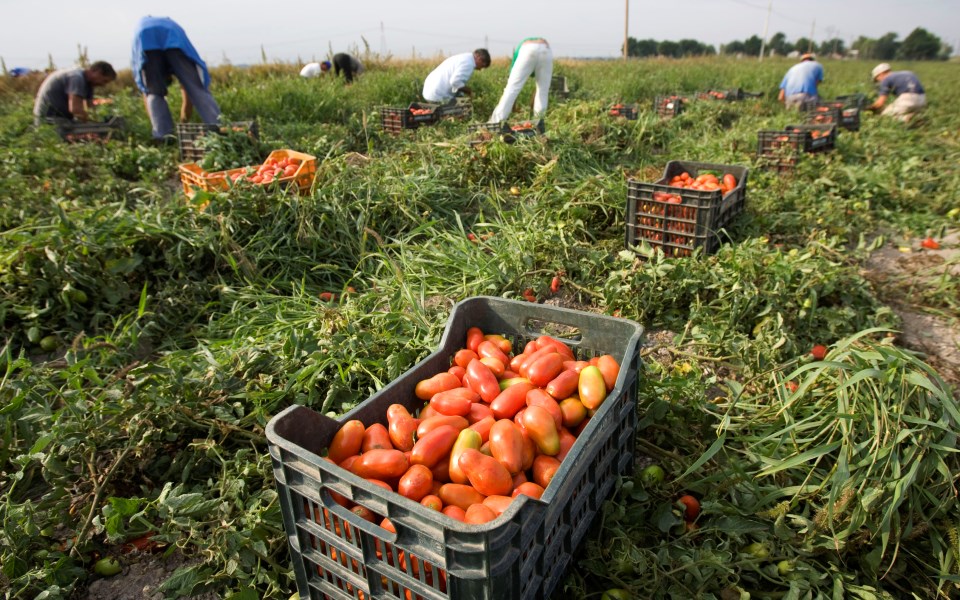 μετά-τον-κορωνοϊό-και-το-ψύχος-οι-ιταλο-2385041