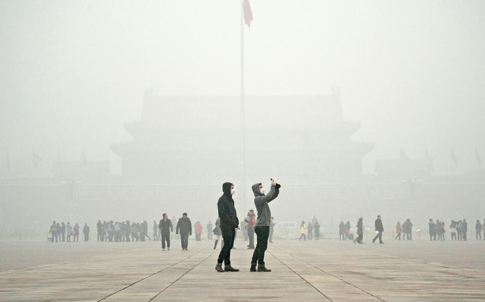 η-ρύπανση-έχει-ήδη-κοστίσει-φέτος-49-000-ζωέ-2387149