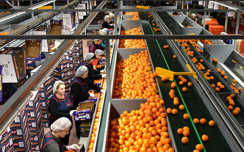 η-πανδημία-ενίσχυσε-τον-κλάδο-των-τροφ-2386404