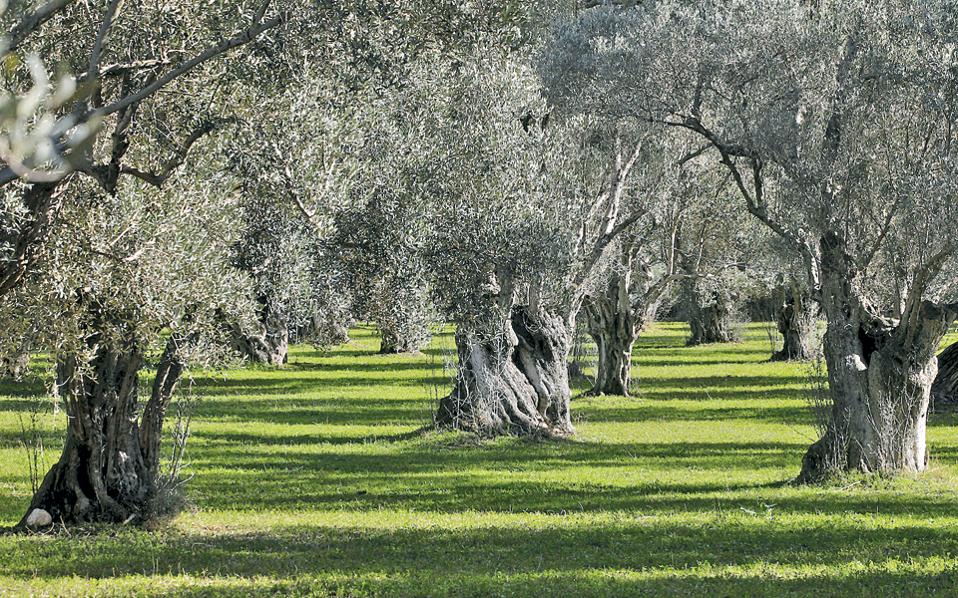 αποψη-τρεις-προτάσεις-για-το-ελληνικό-2388803