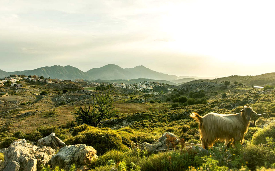 κρήτη-is-a-state-of-mind-2387822