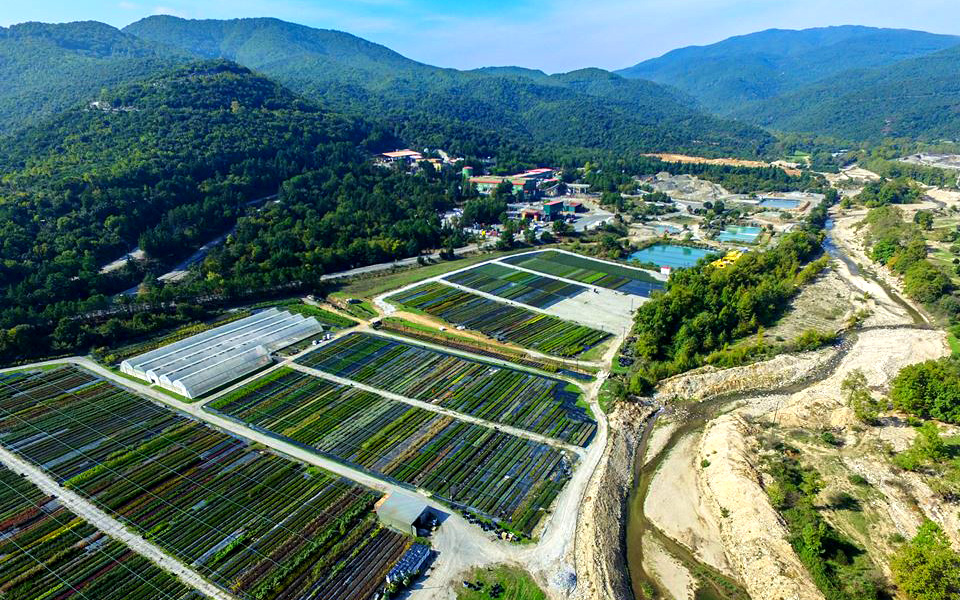 πράσινη-οικονομία-αδύνατη-χωρίς-ορυκ-2386087