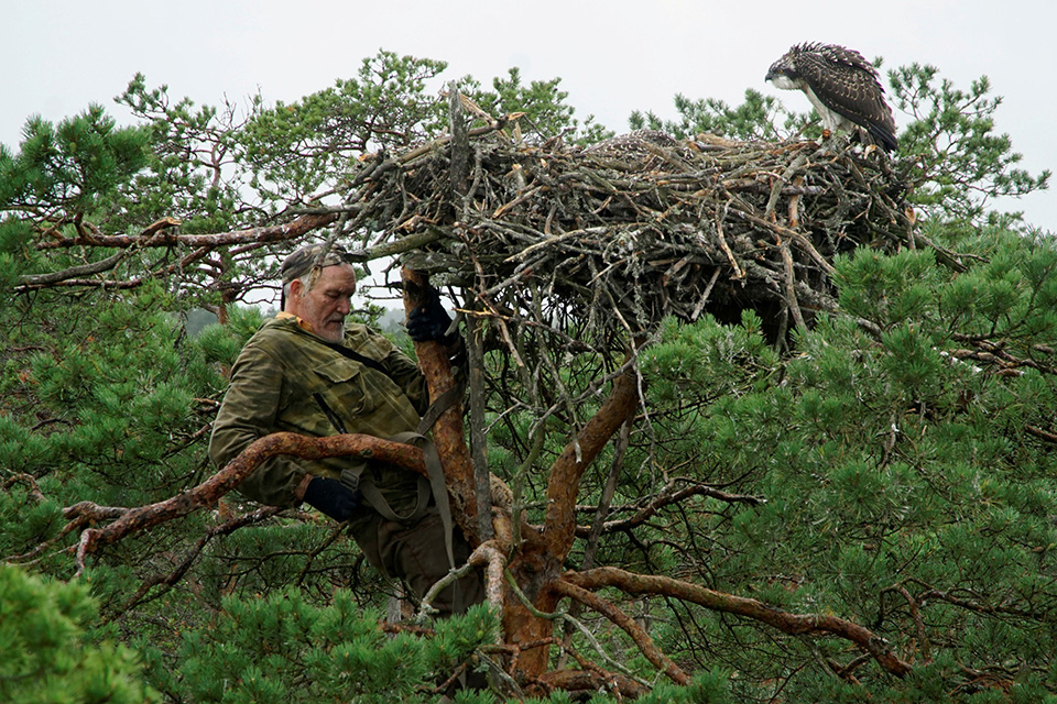 φωτογραφήματα-2389454