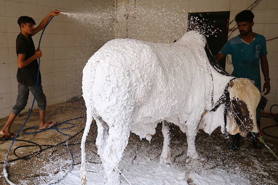 φωτογραφήματα-2390490