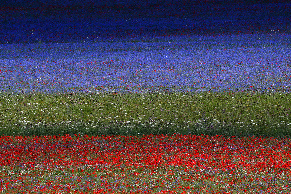 φωτογραφήματα-2386884