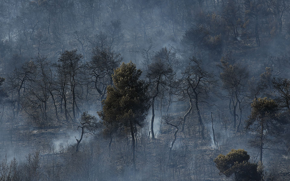 μία-σύλληψη-για-τη-φωτιά-στην-ηλεία-κ-2389895