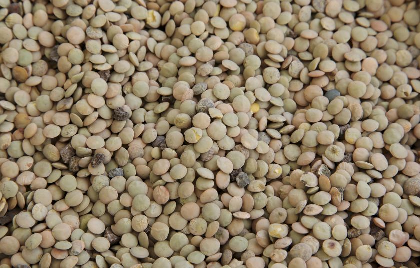 εφετ-ανακαλεί-ακατάλληλες-φακές-2389170