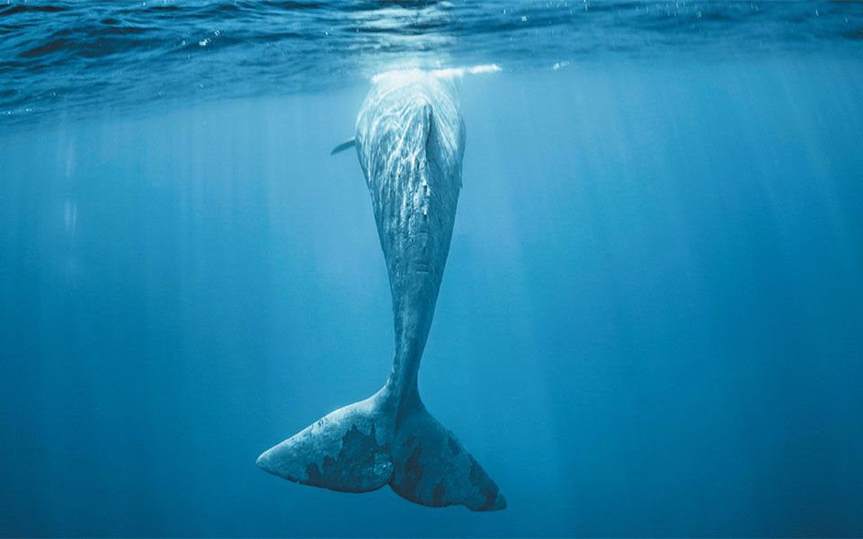 γυμνή-και-θάλασσα-2389267