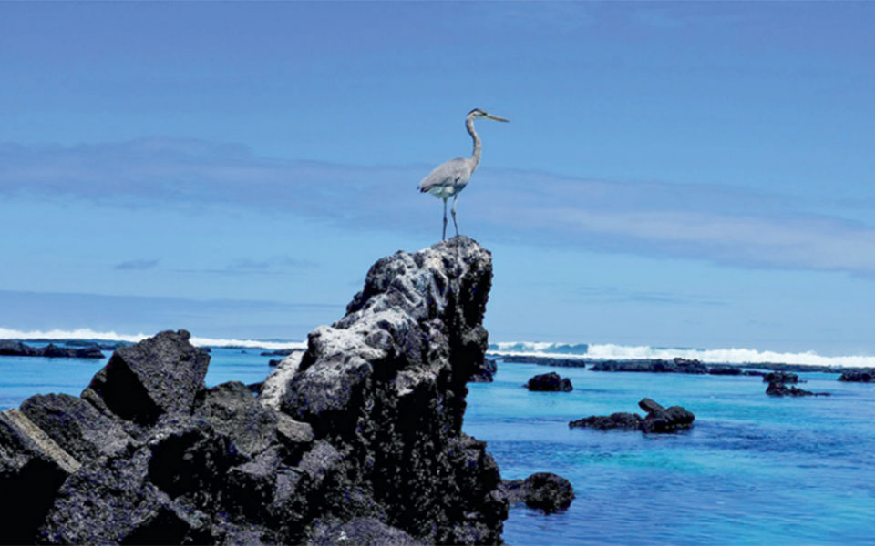 εισβολή-κινεζικού-αλιευτικού-στόλ-2390501