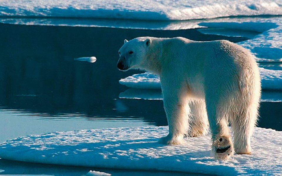 πιθανή-αύξηση-θερμοκρασίας-κατά-15-c-μέ-2387381