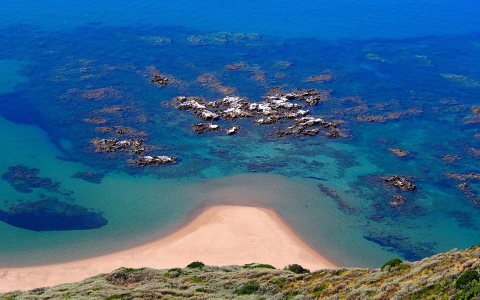 κολύμπι-στη-ζάκυνθο-παρέα-με-καρέτα-κα-2387153